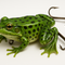 Frog Lures