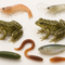 Soft Lures
